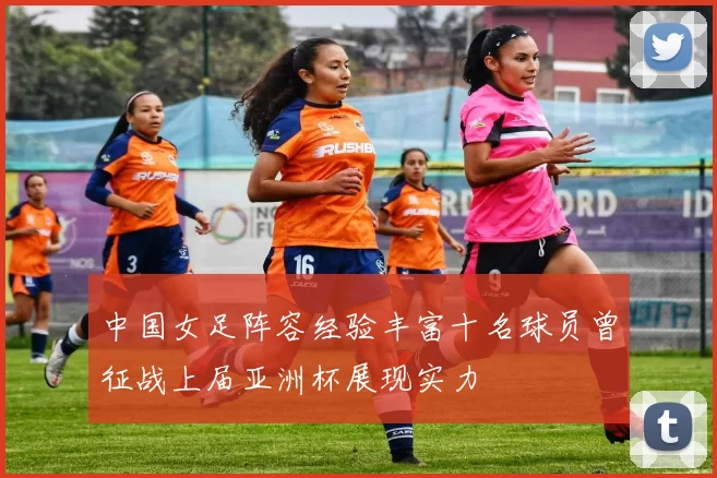 中国女足阵容经验丰富十名球员曾征战上届亚洲杯展现实力